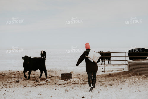 Female Rancher Feeding Supplements 61206