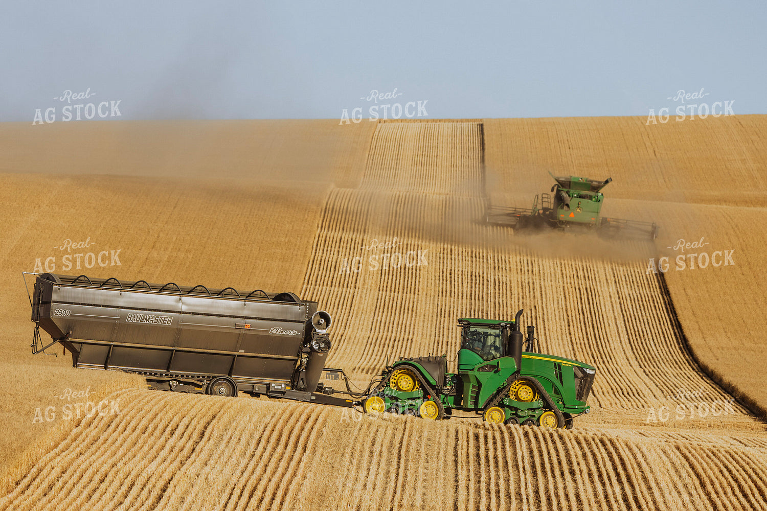 Wheat Harvest 187292
