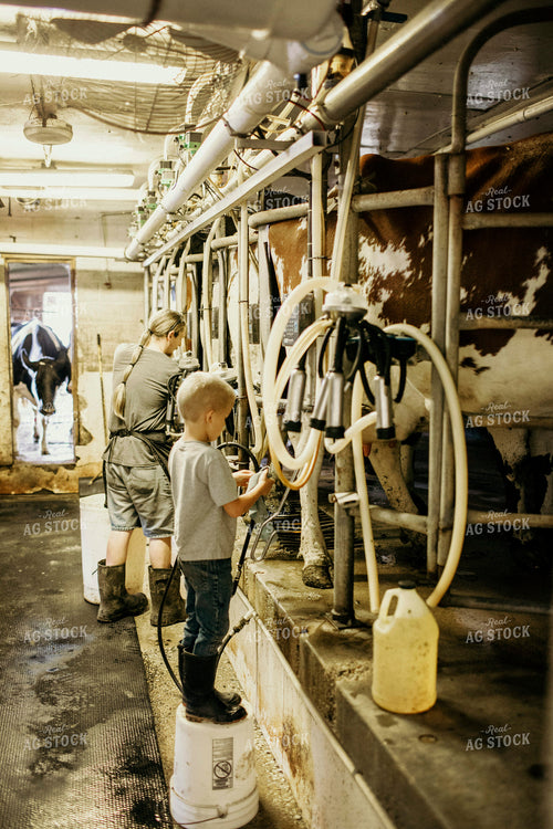 Dairy 2737