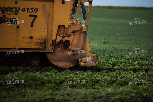 Up Close Pea Harvest 76173