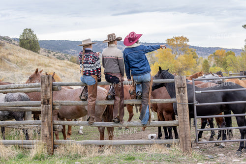 Cowgirls on Fence 290026