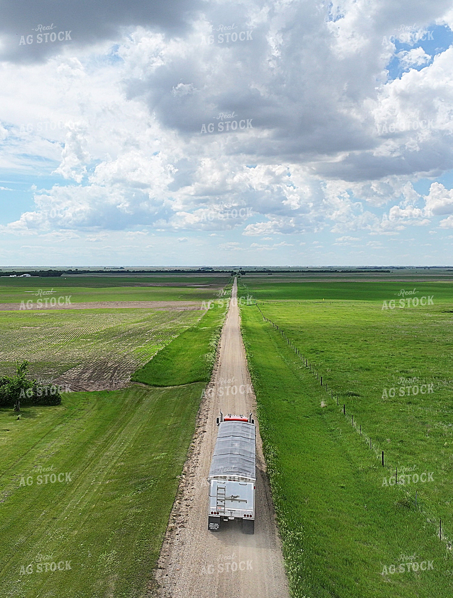 Hauling Grain 141567