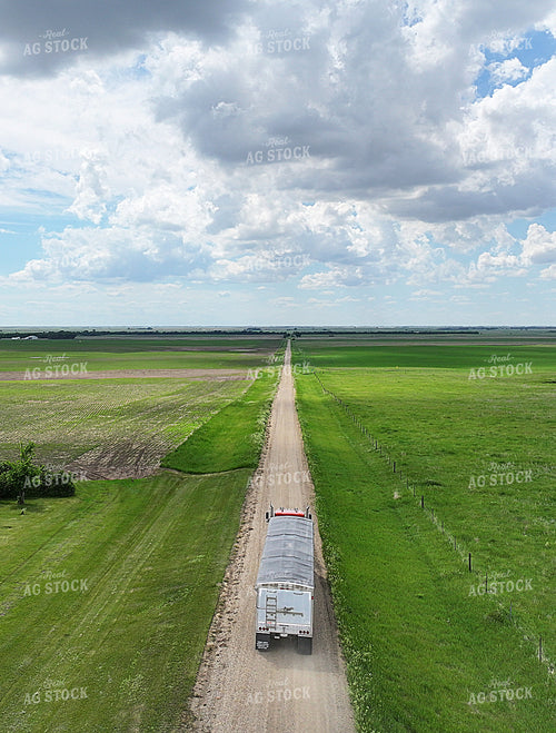 Hauling Grain 141567