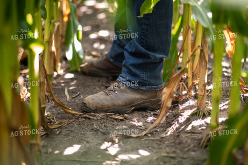 Boots 76706