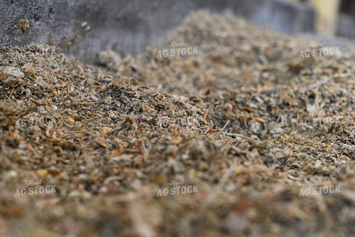 Shavings for Livestock 120017
