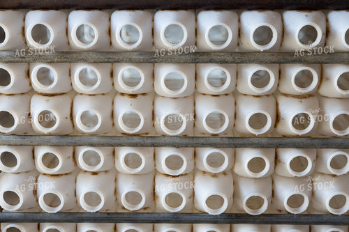 Milk Bottles 276004
