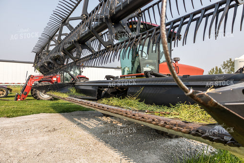 Canola Swather 138091