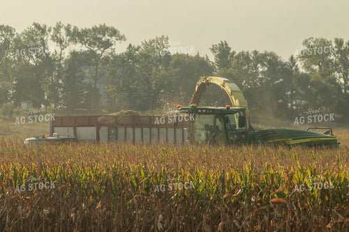 Silage Harvest 72093