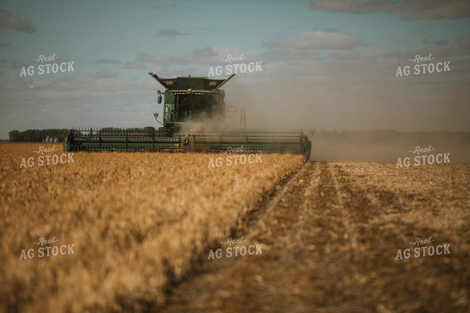 Combine Harvesting Beans 3288