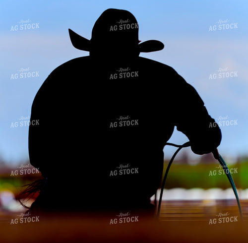 Rodeo 177041