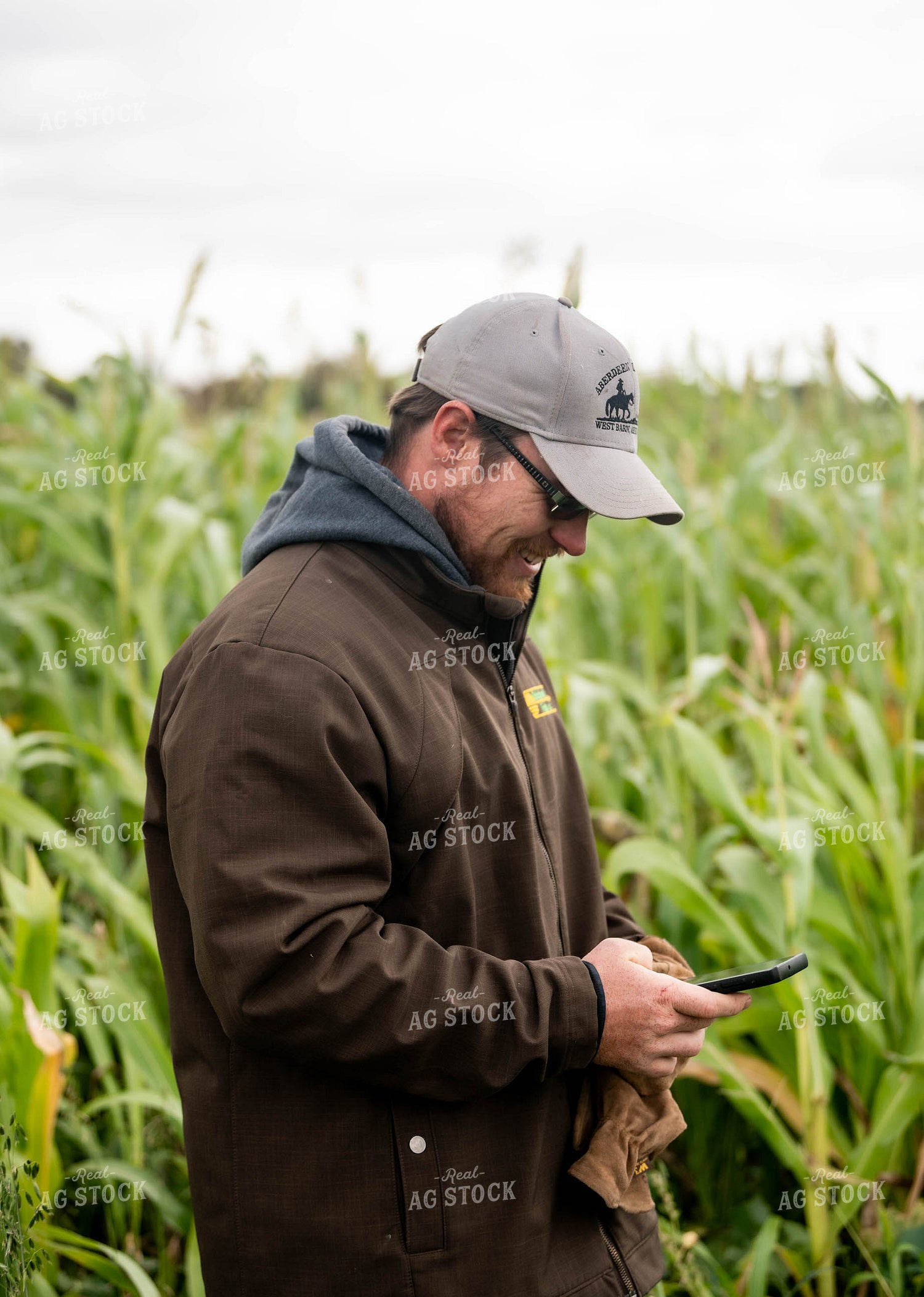 Farmer Using Phone 185021