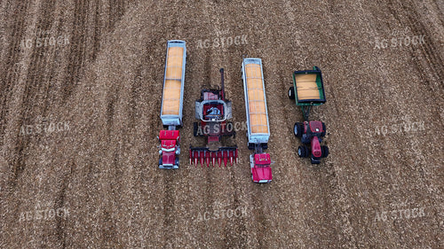 Corn Harvest 191281