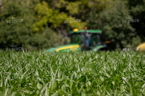 Spraying Corn 157185