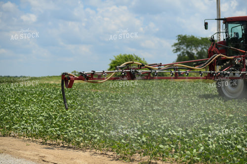 Spraying 191225