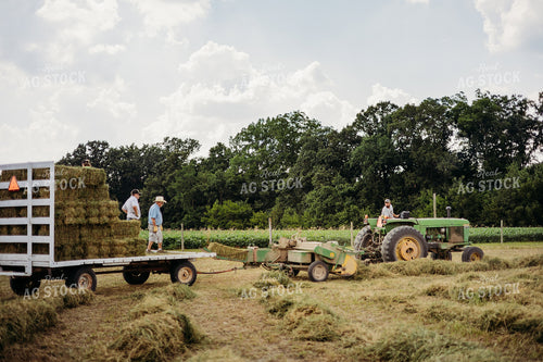 Baling Square Hay Bales 281030