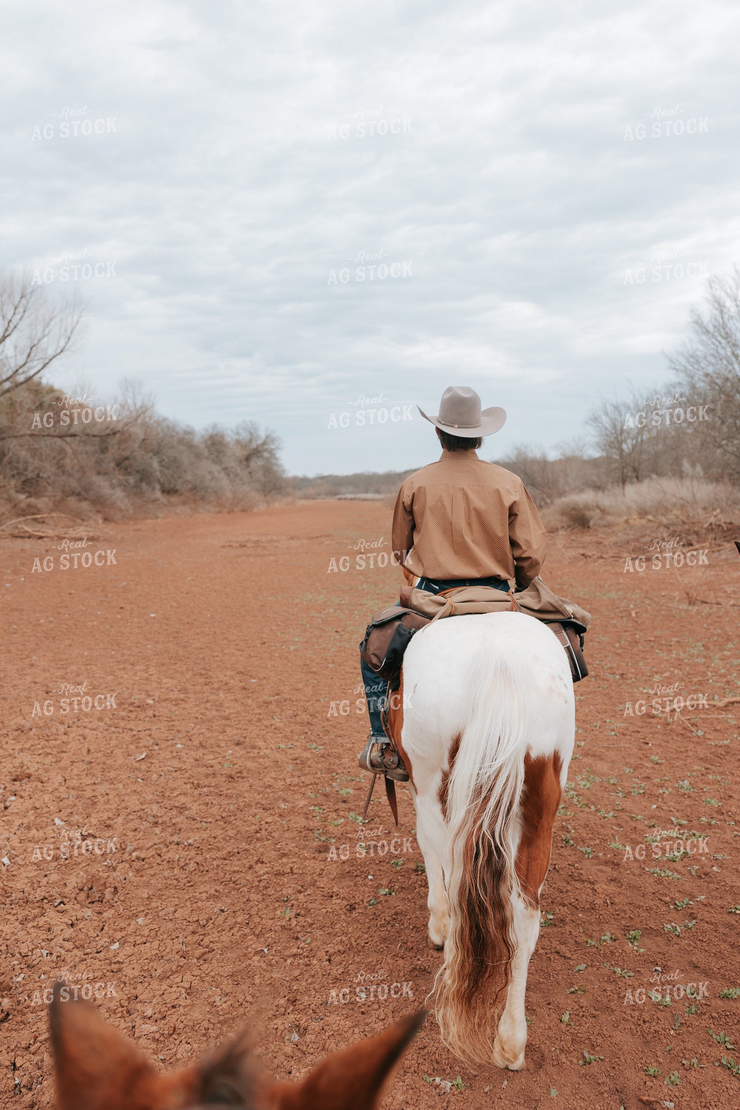 Cowboy on Horseback 205144