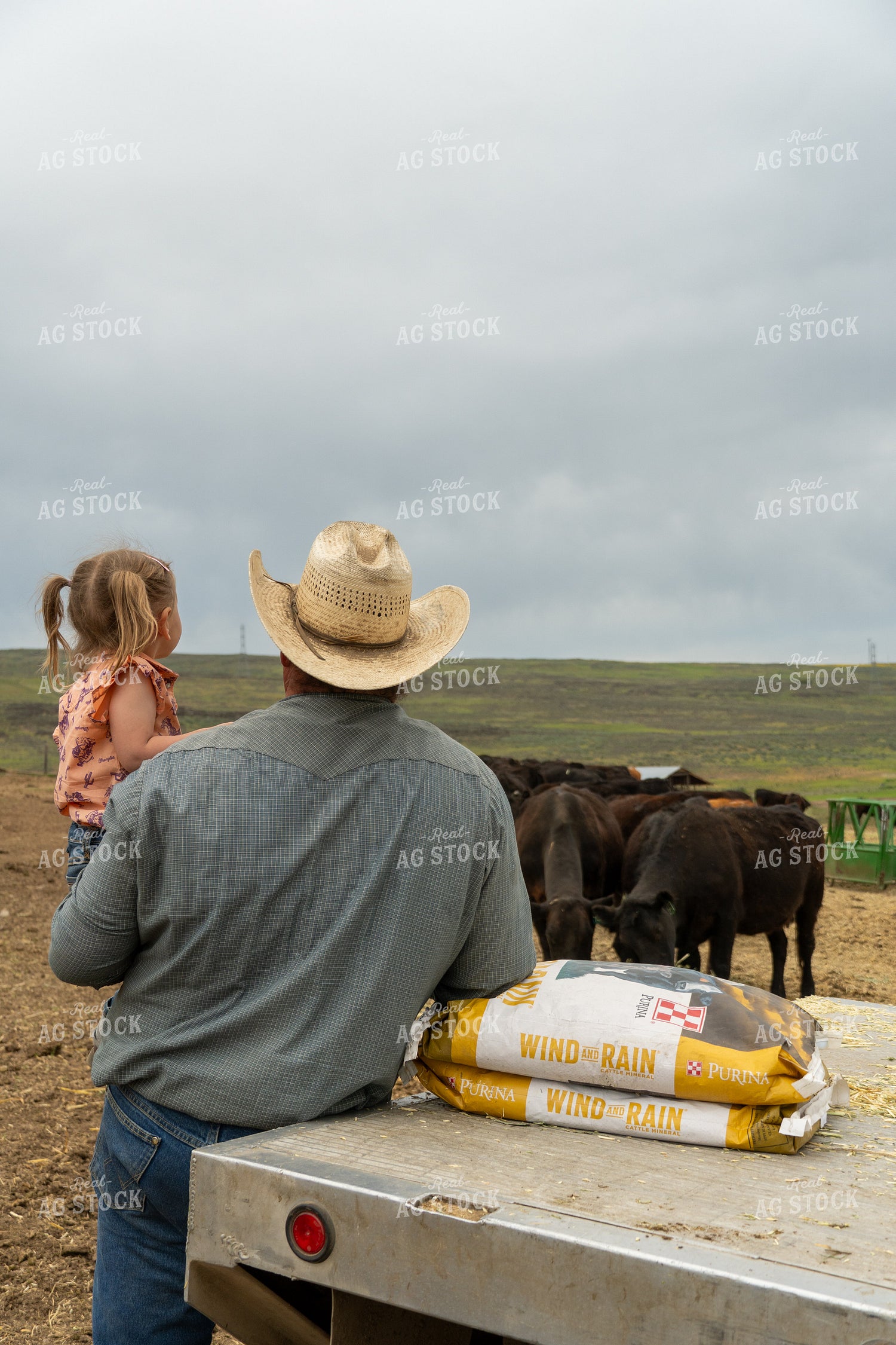 Farmer with Child Observing Cattle on a Rural Farm Landscape 65208