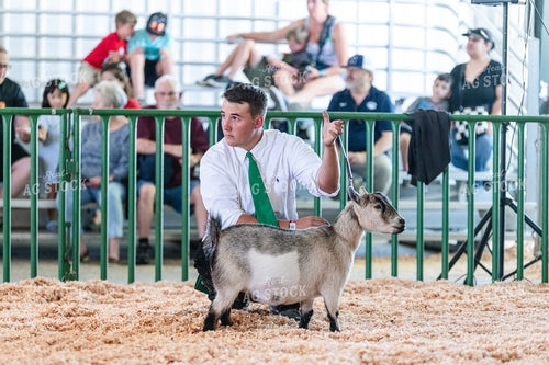 Male Farmer and Goat in Show Ring 107004