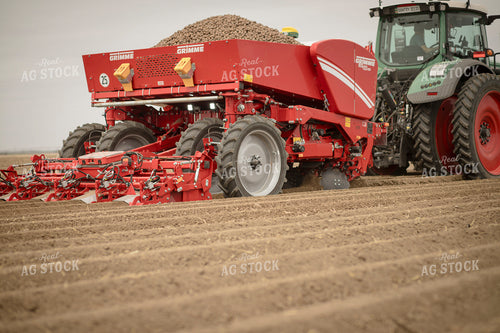 Planting Potatoes 135087
