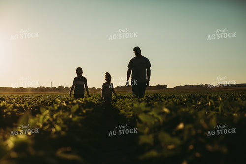 Farm Family Walking in Soybeans 6071