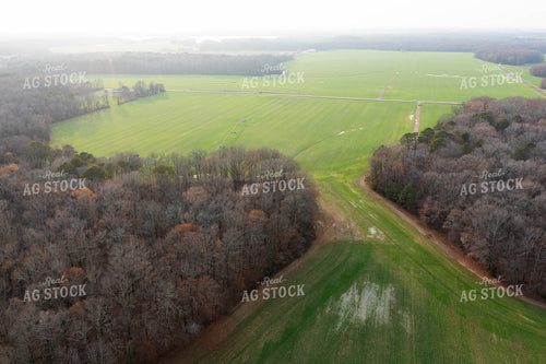 Aerial View of Farmland 79175