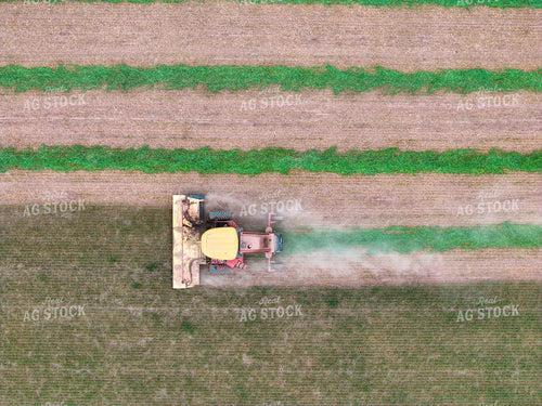 Swathing Oats 239584