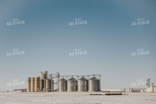 Snowy Pasture and Grain Bins 68007