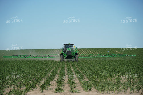 Spraying Corn 65009