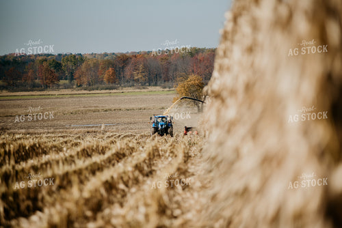 Silage Harvest 118007