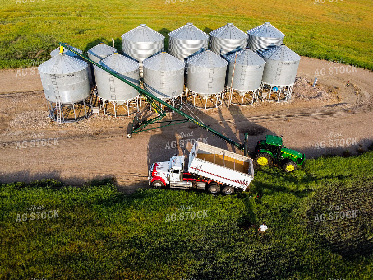 Unloading Harvested Grain 187387