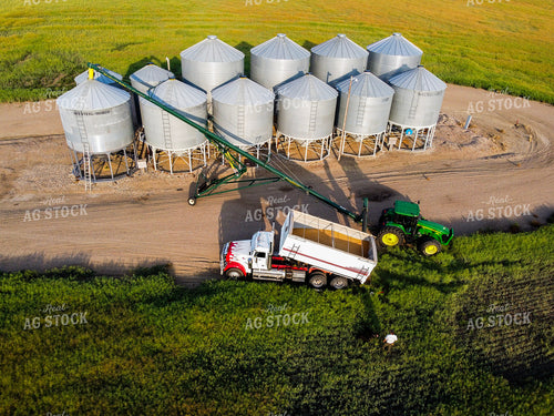 Unloading Harvested Grain 187387