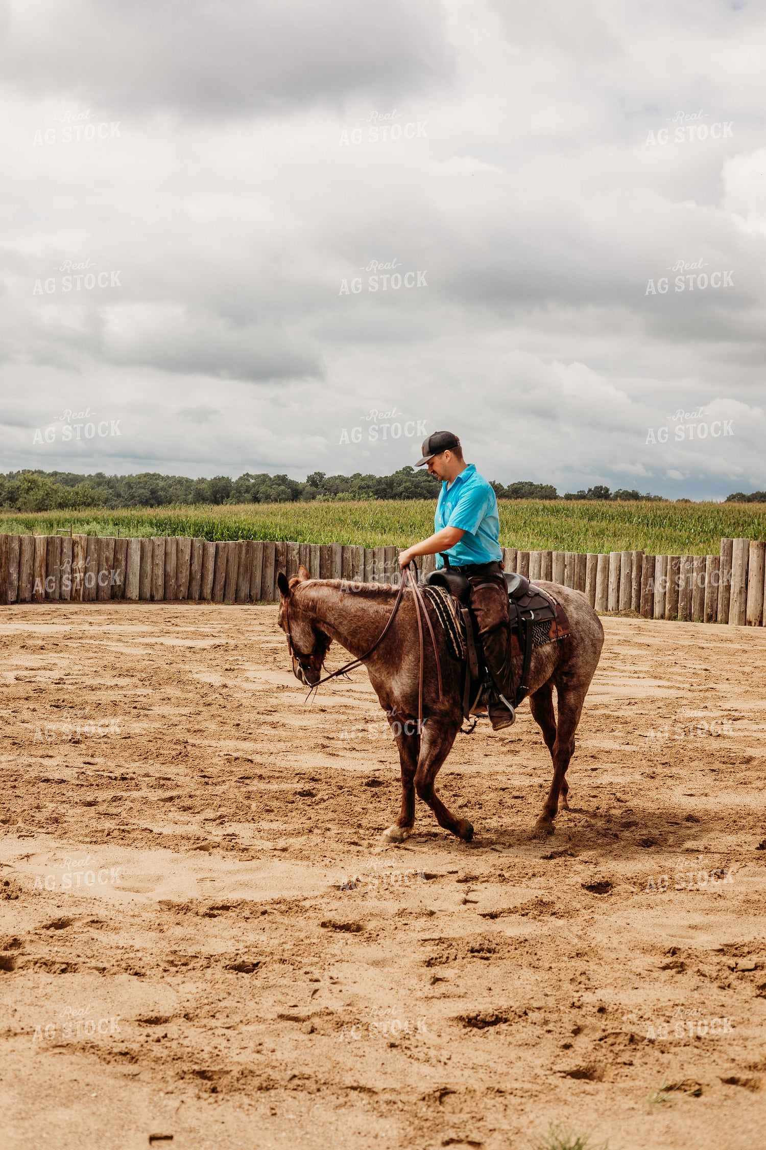 Rancher on Horseback 281005