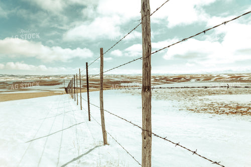 Fence in Snowy Pasture 58062