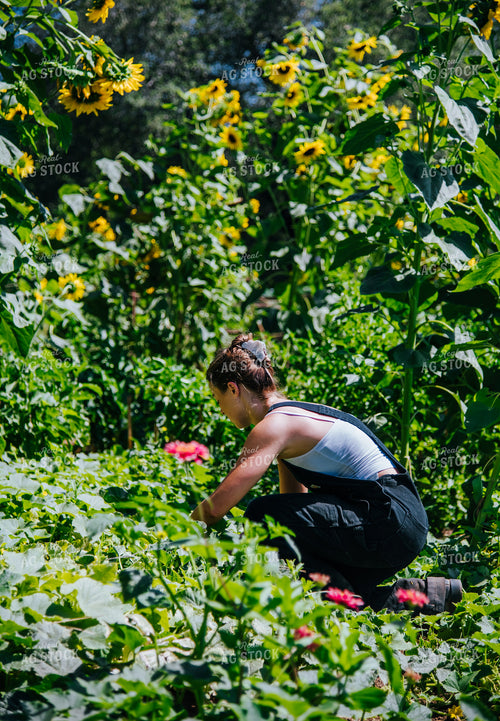 Woman in Garden 107005