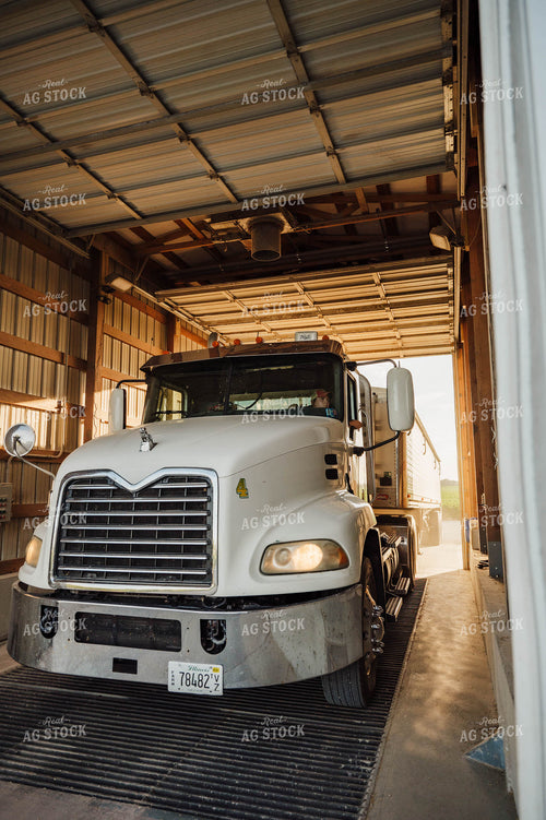 Female Farmer Driving Semi 115249