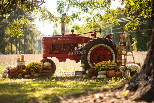 Fall Agritourism Display 136159
