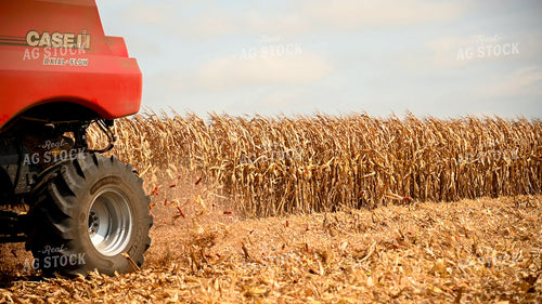Corn Cobs and Chaff from Combine End 25602