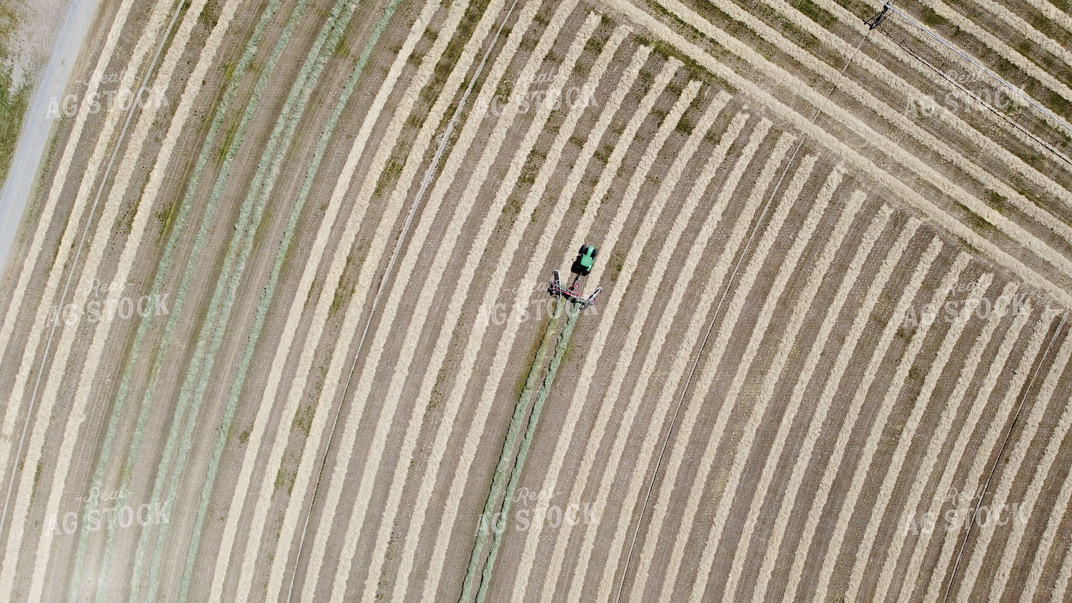 Raking Hay 146023