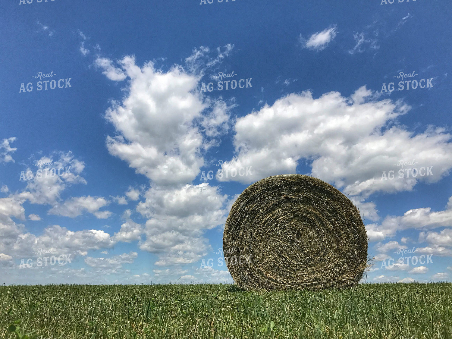 Round Bale 214004
