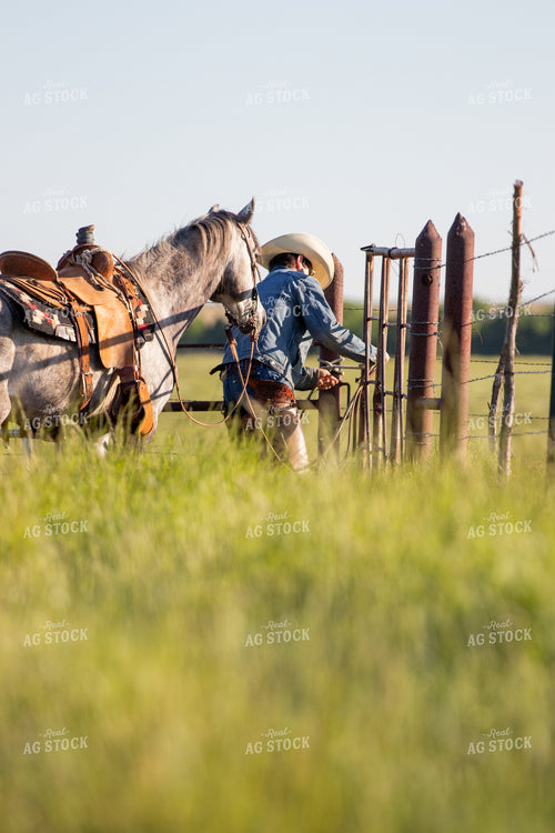 Rancher 175004