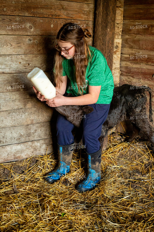 Calving Season 155560