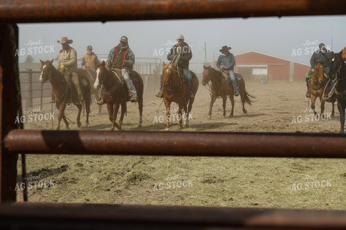Cattlemen on Horseback 65202
