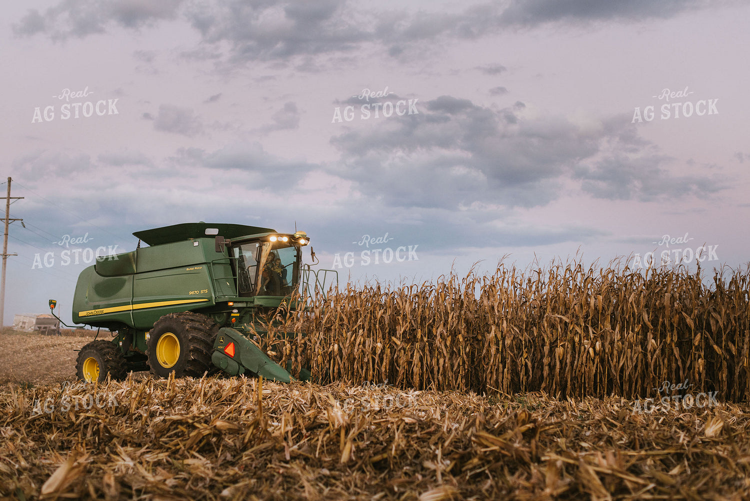 Corn Harvest 9411