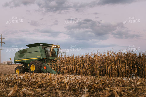 Corn Harvest 9411