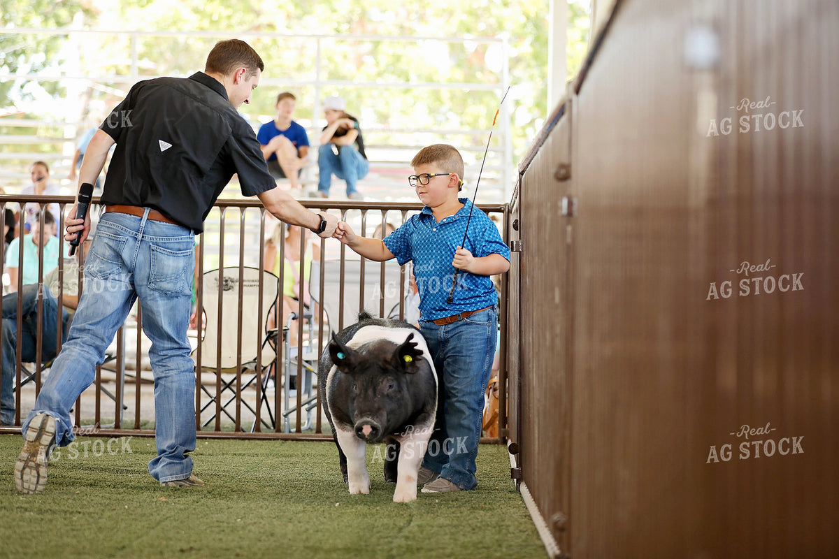 Pig Show 127129