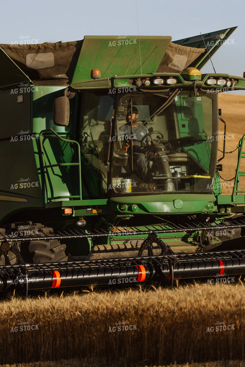 Wheat Harvest 187328