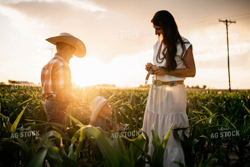Famliy in Cornfield 218044