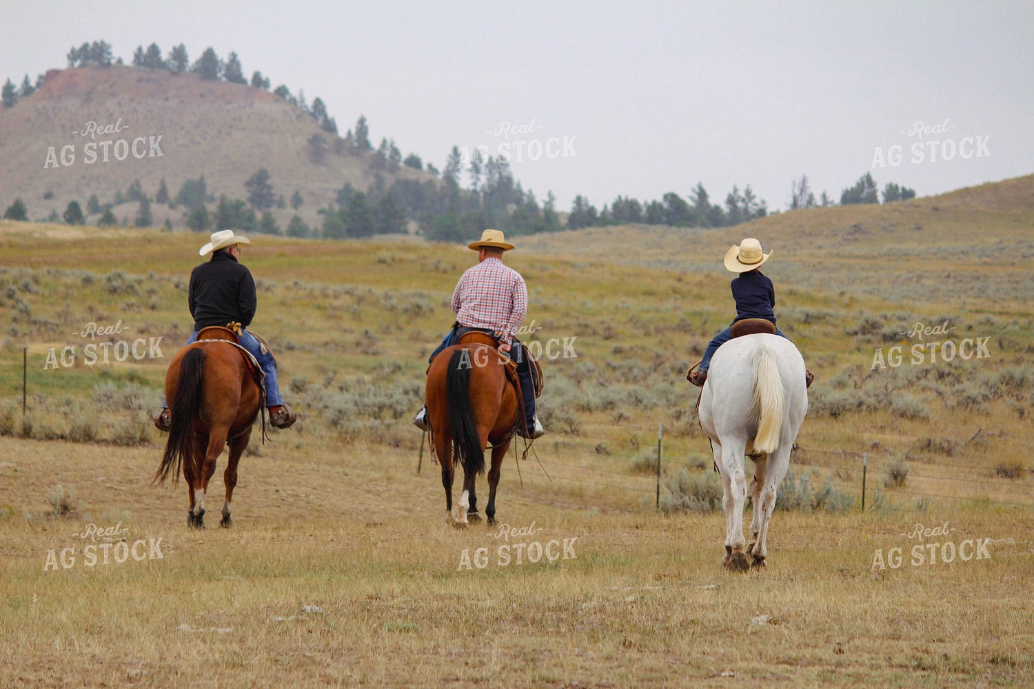 Ranchers on Horseback 63084
