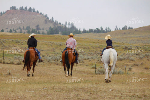 Ranchers on Horseback 63084