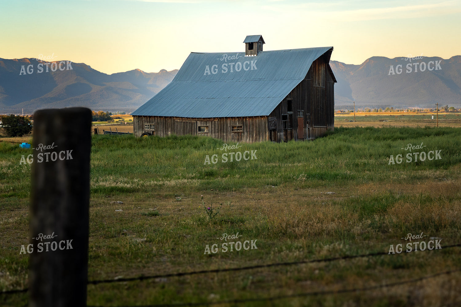 Barn in Pasture 65443